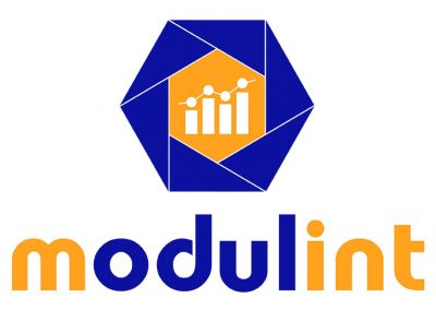 modulint - Logo